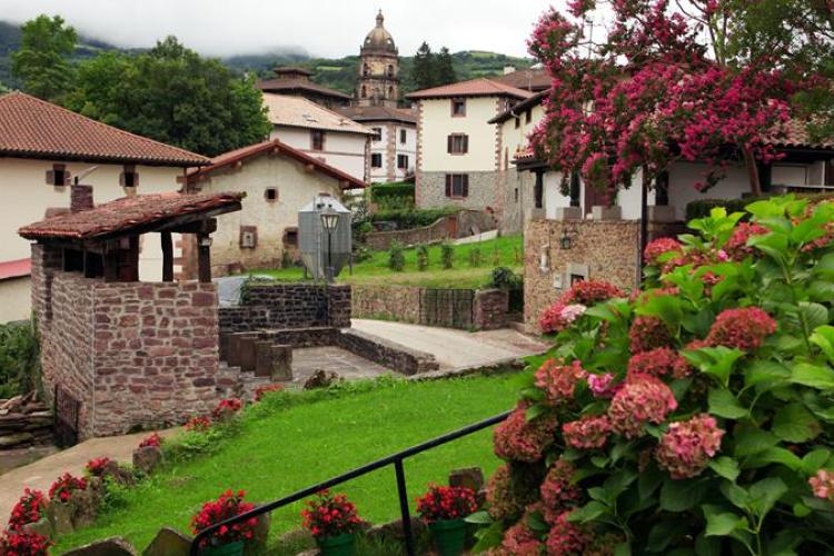 Foto de un jardín con flores
