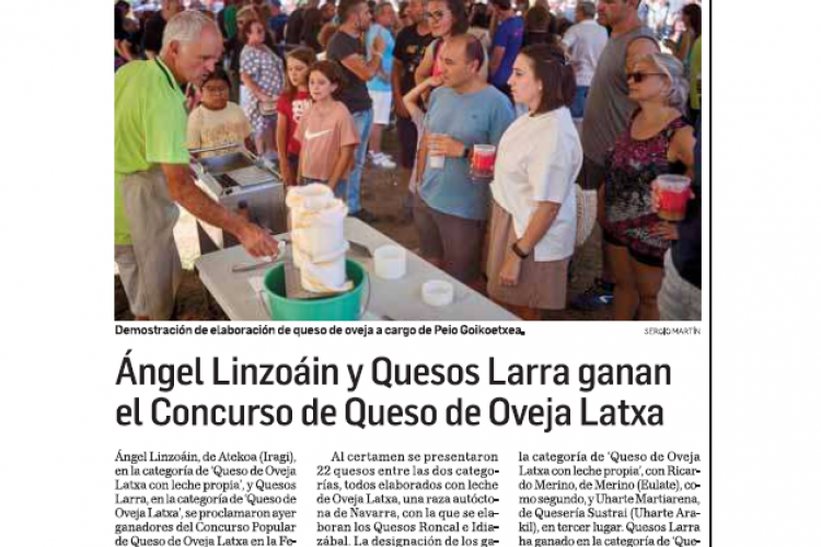 Fotografía del pantallazo de la noticia en la edición impresa del Diario de Navarra