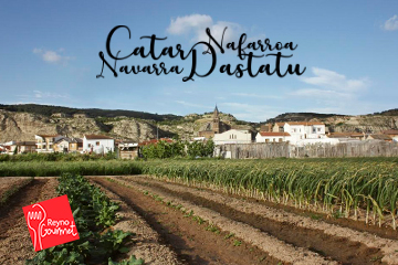Cartel promocional de «Catar Navarra»