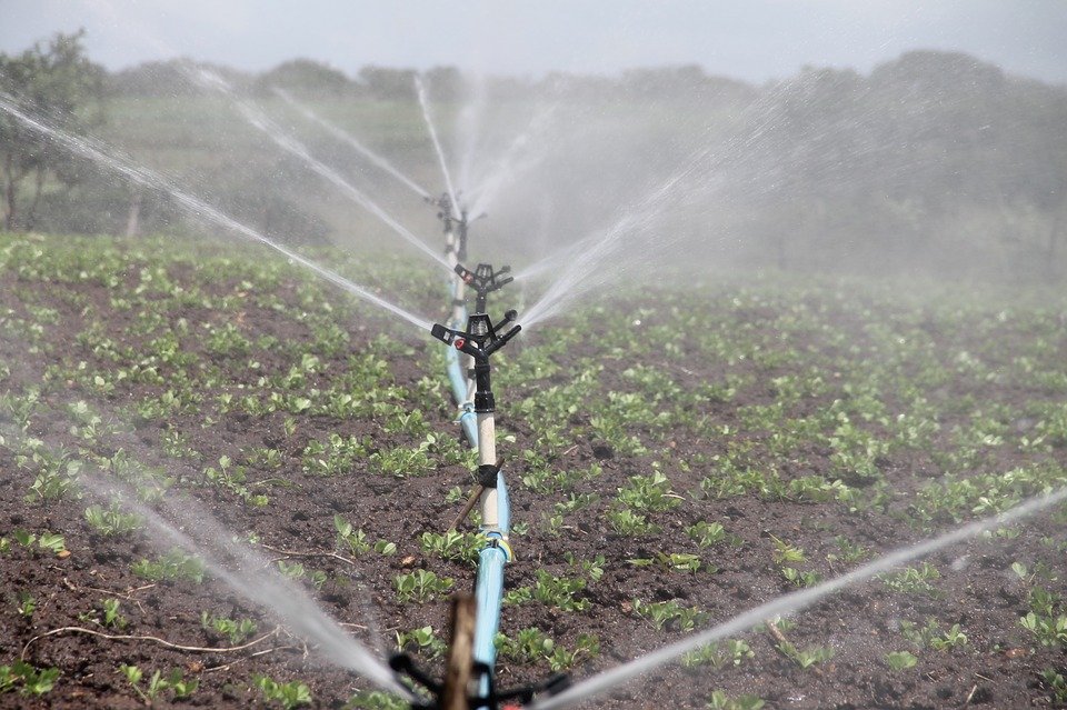 Riegos en agricultura