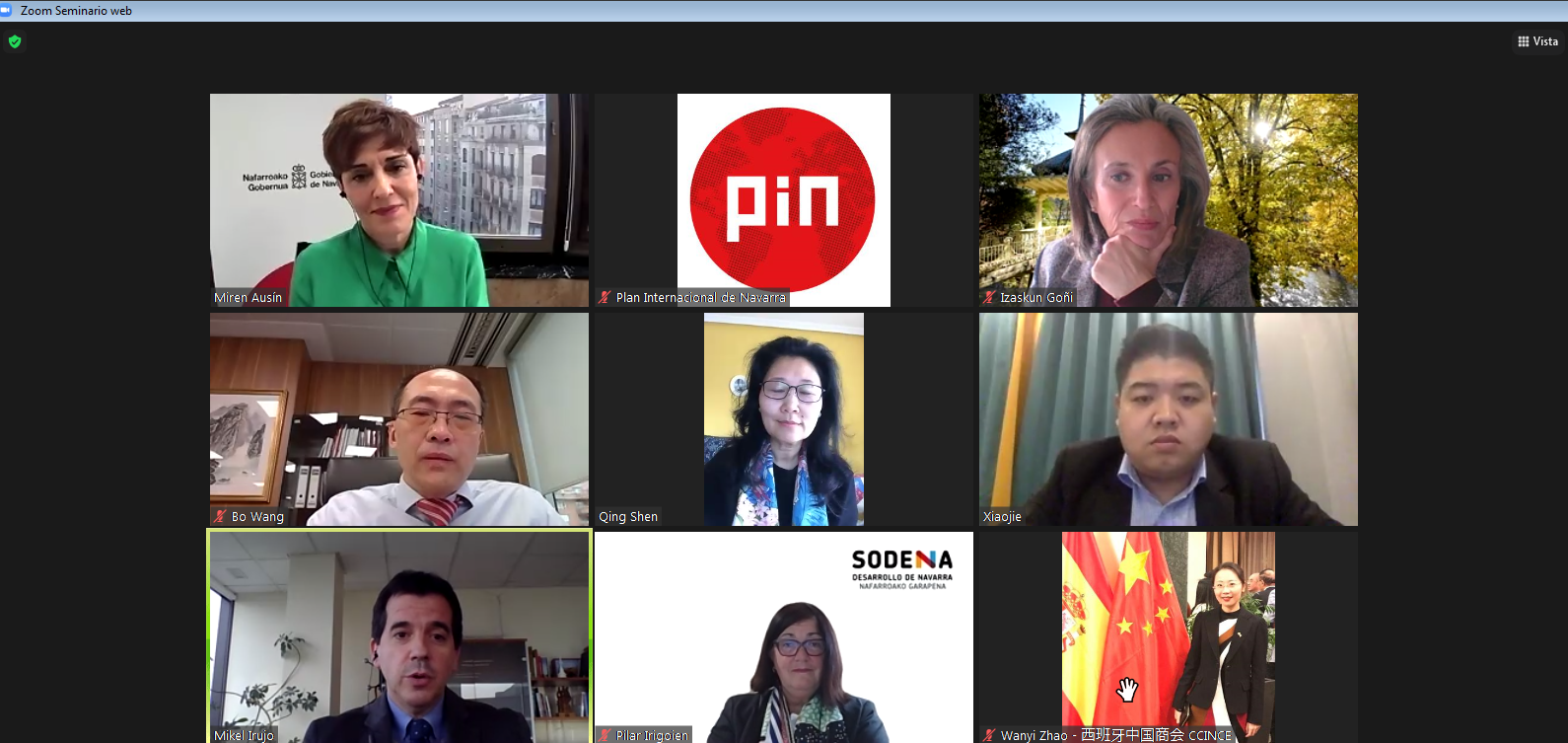 Fotografía del pantallazo durante la webinar donde aparecen ocho personas.