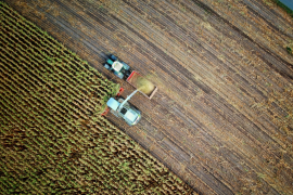 Agricultores trabajan en el campo interior