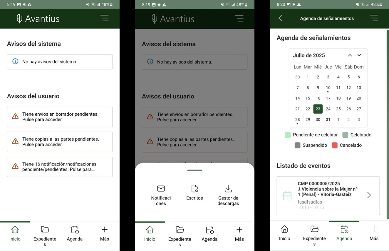 Capturas del funcionamiento de la aplicación Avantius