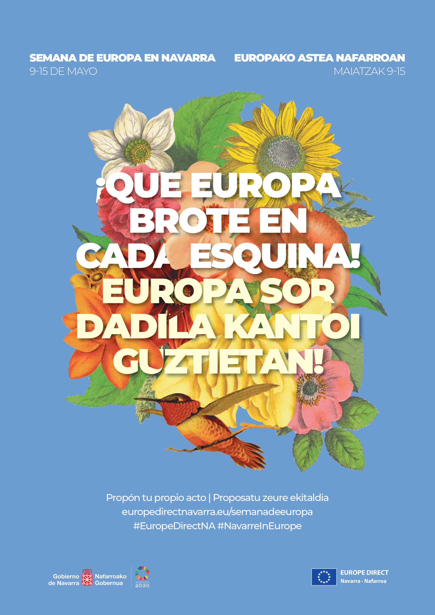 Fotografia del Cartel de la Semana de Europa en Navarra