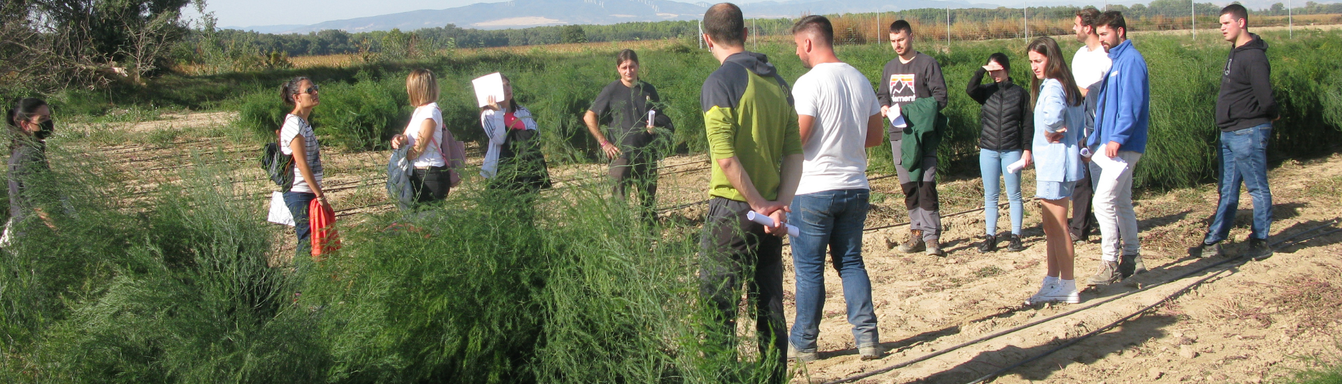 Fotografía de varias personas visitando las fincas de cultivo.