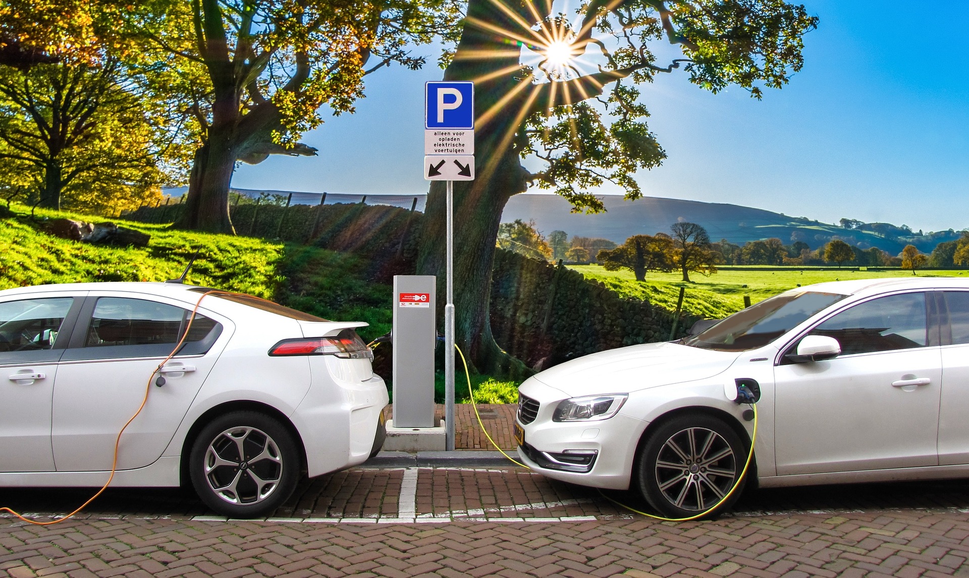 Fotografía de dos coches eléctricos