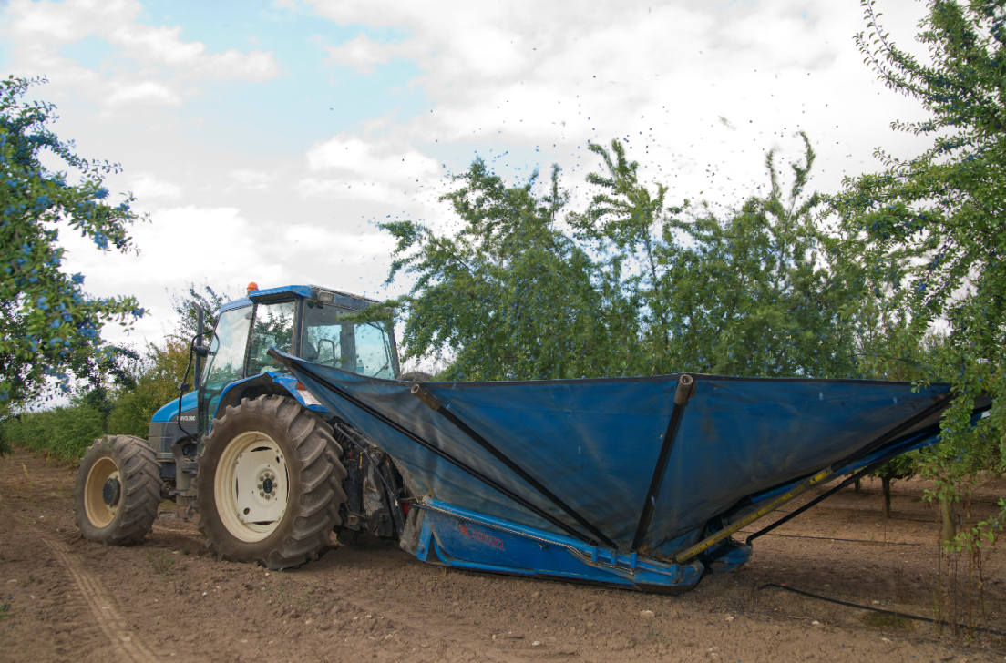 Fotografía de un tractor en un campo de cultivo