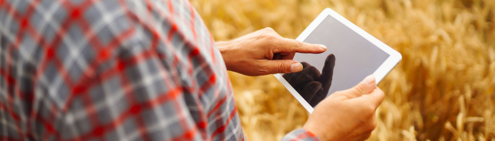 Fotografía de una persona con una tablet