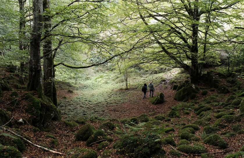 Fotografía de un bosque y de dos personas paseando.