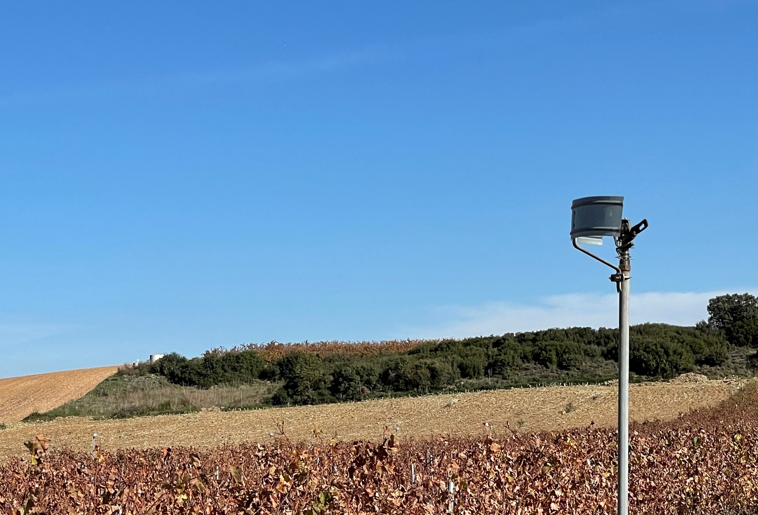 Fotografía de un aspersor en un cultivo.