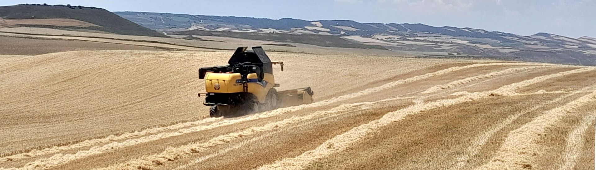 Imagen de una cosechadora en un campo de cereal.