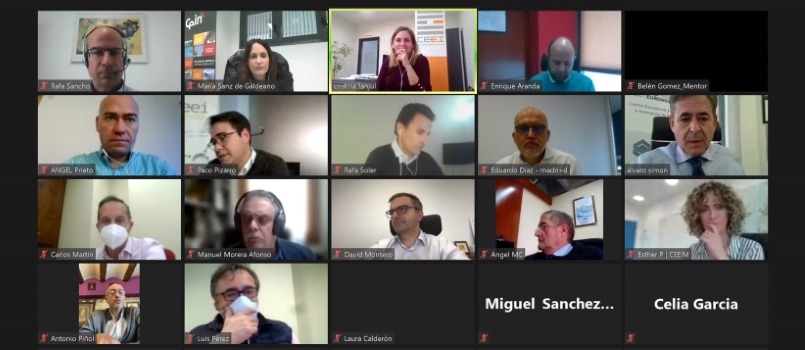 Fotografía de un pantallazo de la reunión on line donde aparecen dieciséis personas. 