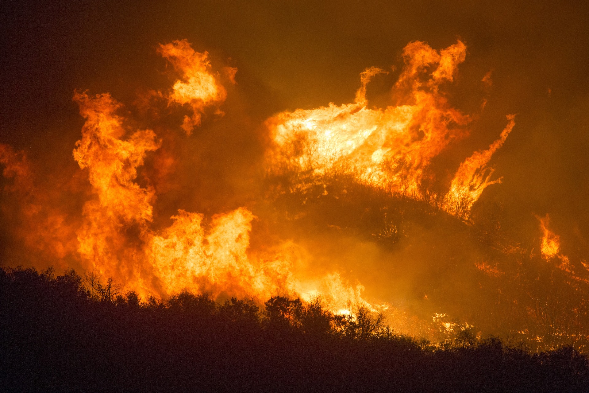 El proyecto europeo en el que se integra esta experiencia piloto tiene entre sus objetivos la reducción del riesgo de incendios forestales.