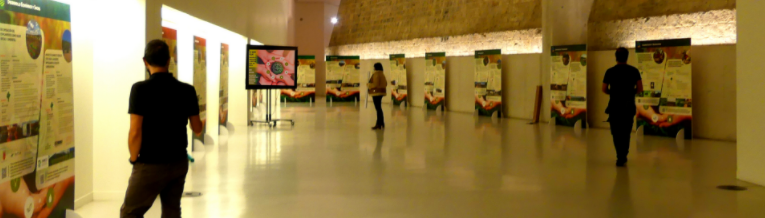 Fotografia de la exposicione
