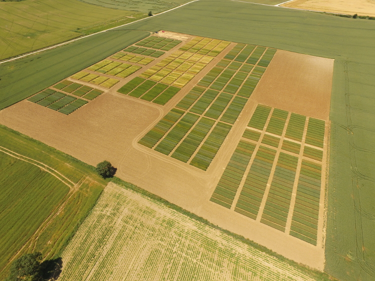 Foto aérea de una de las fincas que INTIA dedica a ensayos de cultivos extensivos