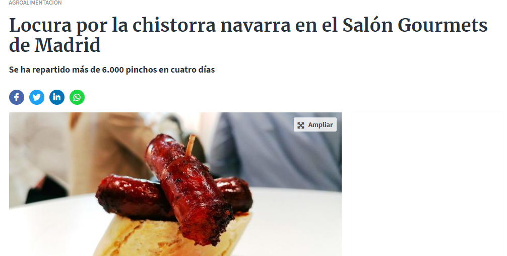 Fotografía del pantallazo de la noticia en la edición online del Diario de Navarra