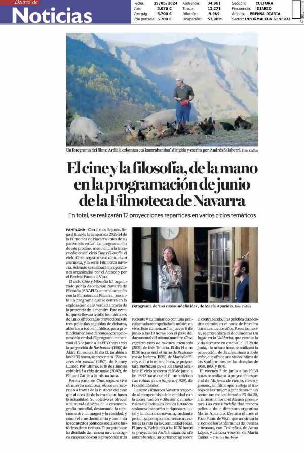 Fotografía del pantallazo de la noticia impresa en Diario de Noticias