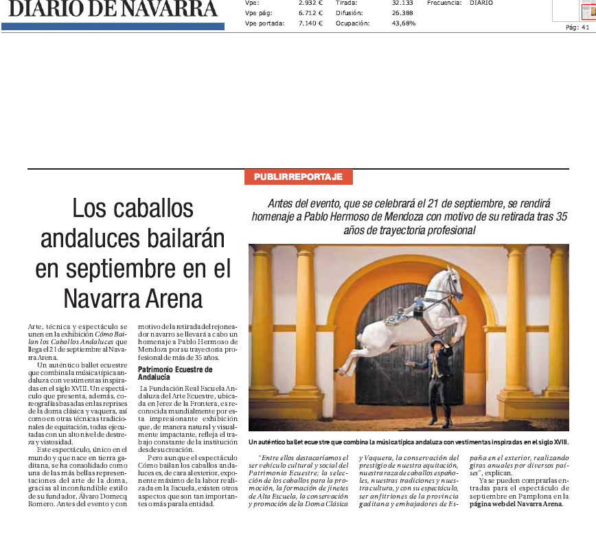 Fotografía del pantallazo de la noticia en la edición impresa de Diario de Navarra