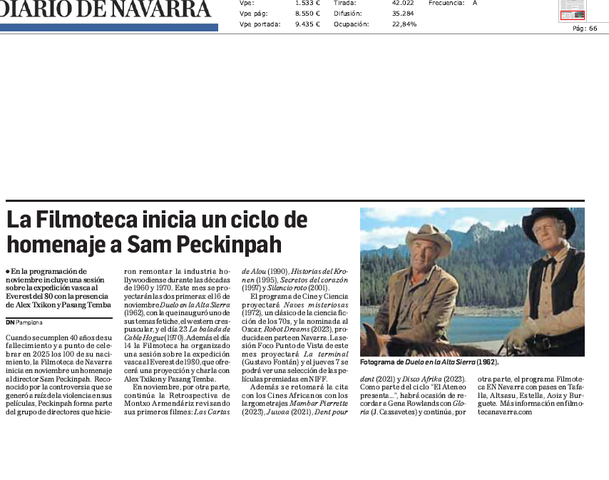 Fotografía del pantallazo de la noticia en la edición impresa de Diario de Navarra