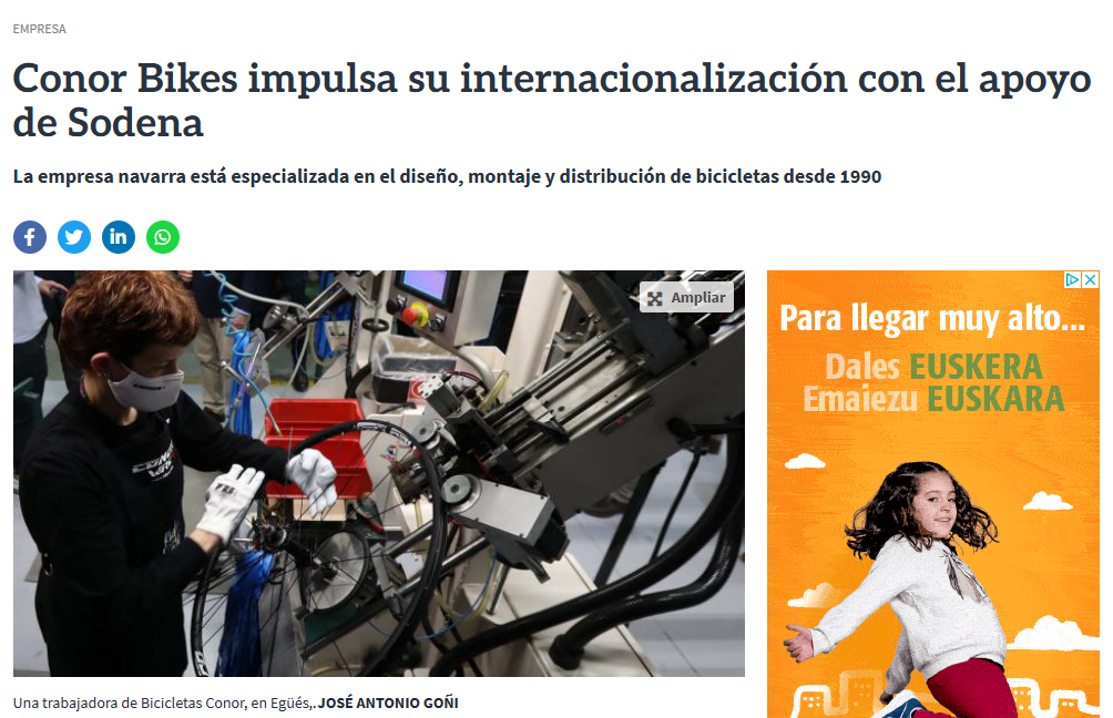 Fotografía del pantallazo de la noticia en la edición online de Diario de Navarra