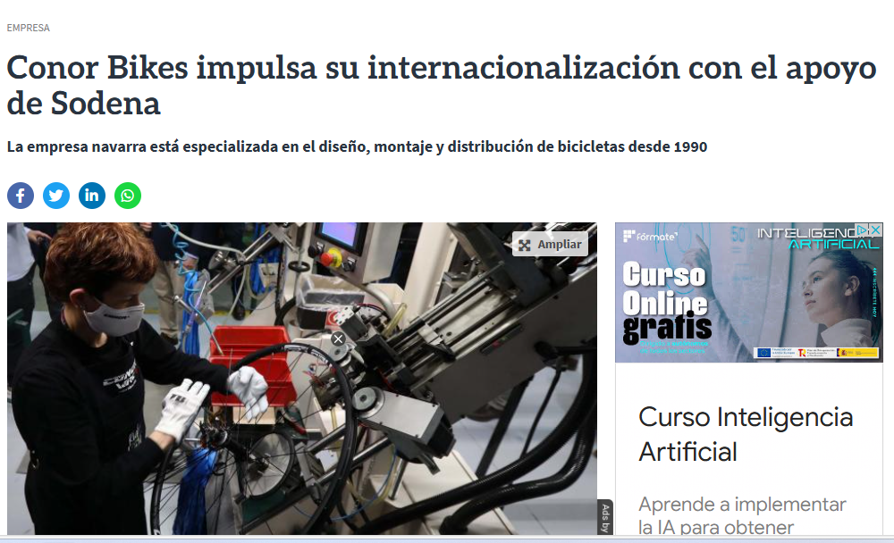 Fotografía del pantallazo de la noticia en la edición online del Diario de Navarra