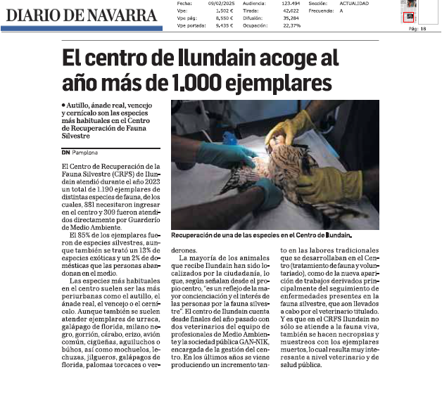 Fotografía del pantallazo de la noticia en la edición impresa de Diario de Navarra