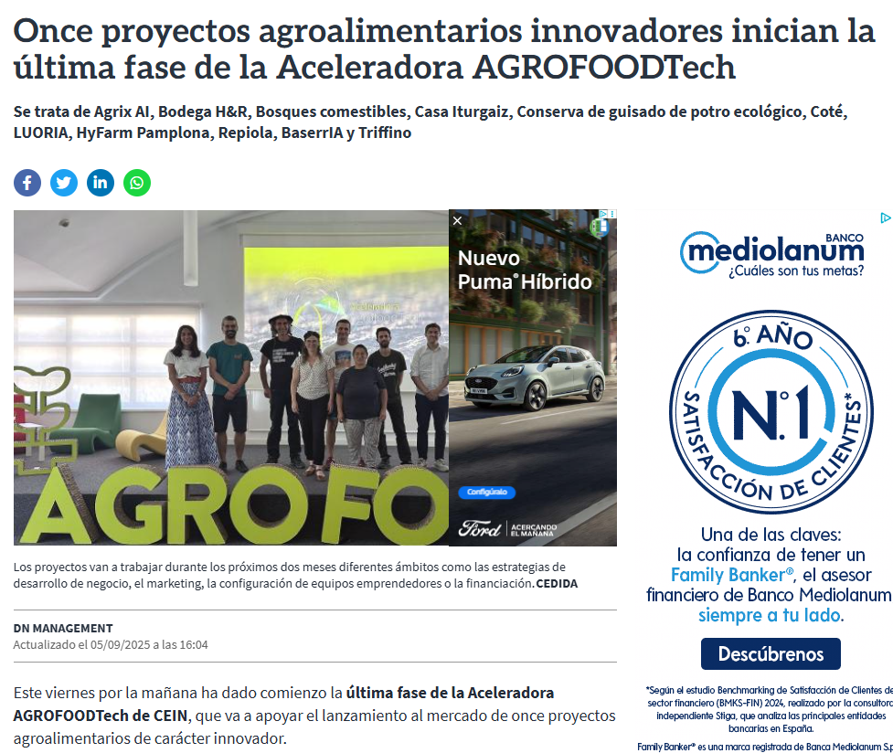Fotografía del pantallazo de la noticia en la edición online de Diario de Navarra