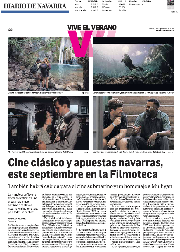 Fotografía del pantallazo de la noticia en la edición impresa del Diario de Navarra