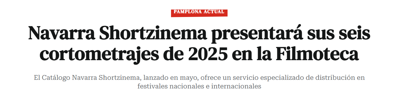 Fotografía del pantallazo de la noticia en la edición online de Pamplona Actual