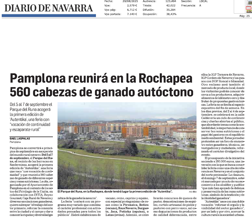 Fotografía del pantallazo de la noticia en la edición impresa del Diario de Navarra