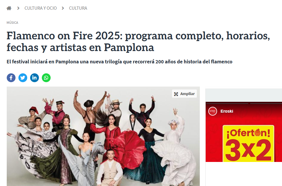 Fotografía del pantallazo de la noticia en la edición online de Diario de Navarra