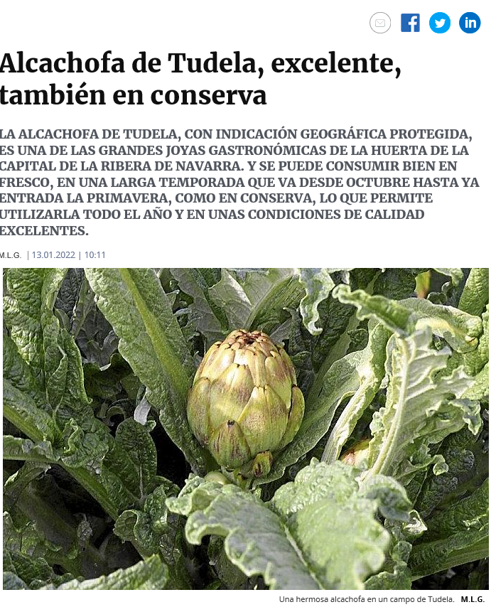 Fotografía del pantallazo de la noticia en la edición online del Diario de Noticias.