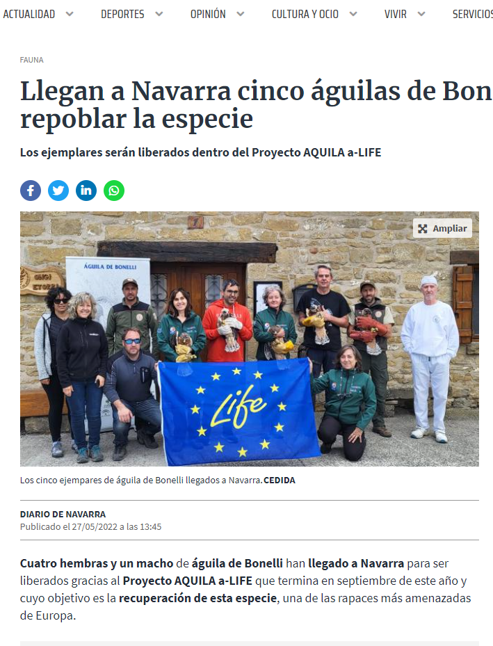 Fotografía del pantallazo de la noticia en la edición online del Diario de Navarra