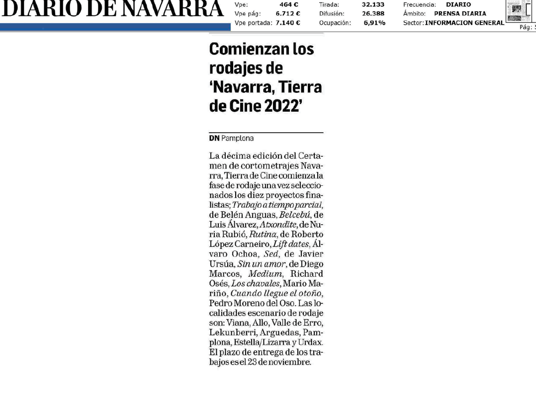 Fotografía del pantallazo de la noticia en la edición impresa del Diario de Navarra