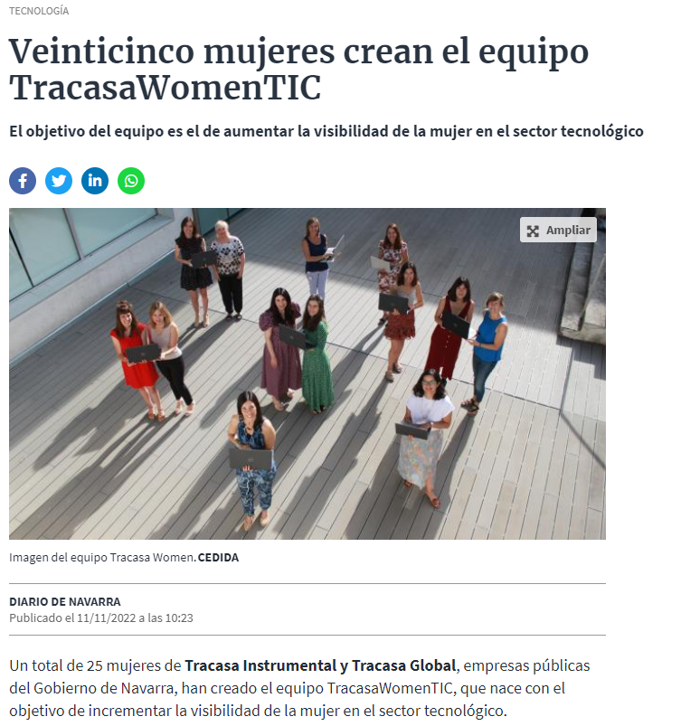 Fotografía del pantallazo de la noticia en la edición online del Diario de Navarra