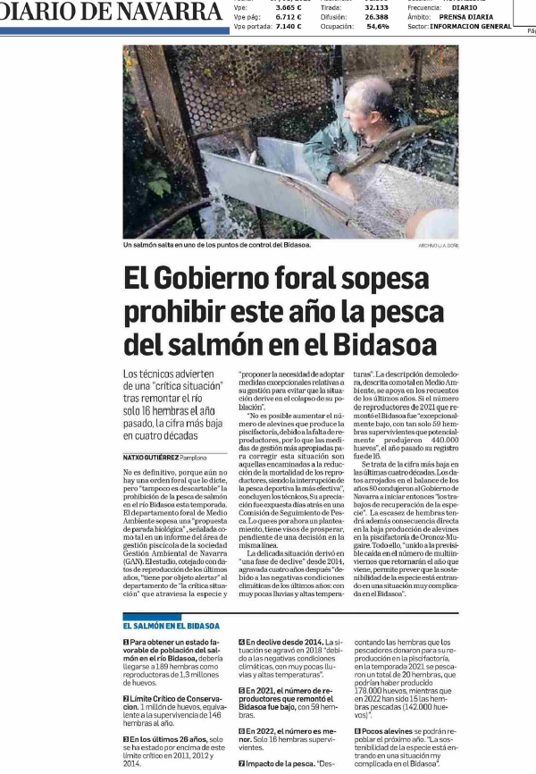 Fotografía del pantallazo de la noticia de la edición impresa en Diario de Navarra