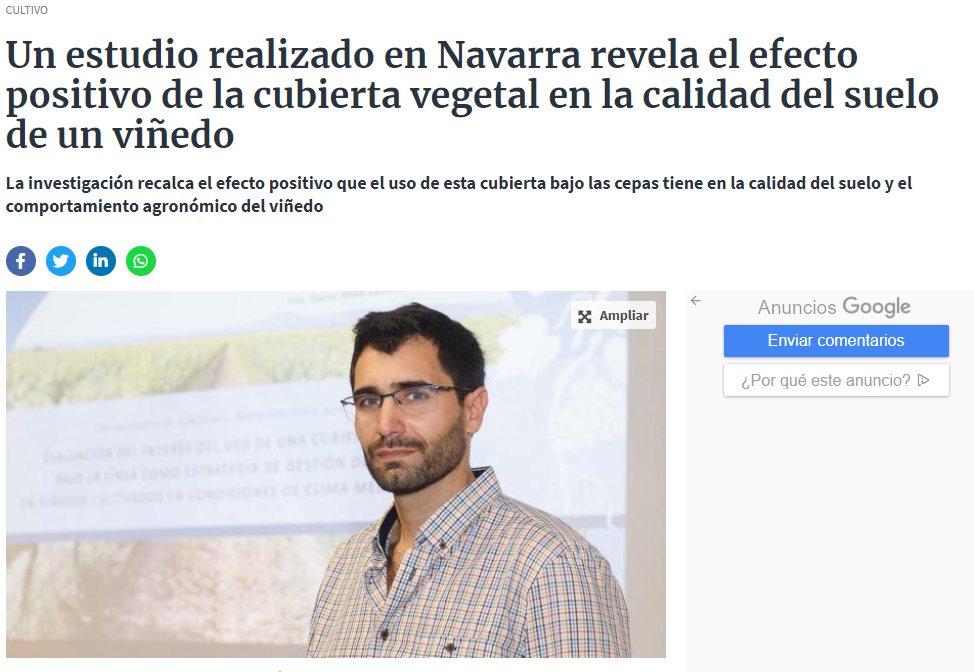 Fotografía del pantallazo de la noticia en la edición online del Diario de Navarra