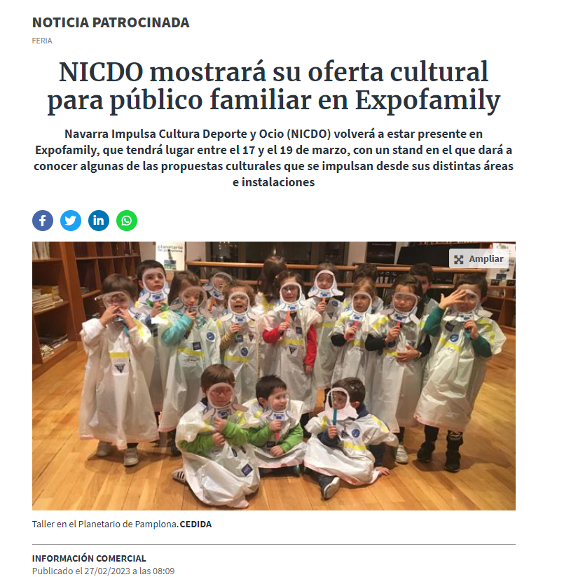 Fotografía del pantallazo de la noticia en la edición online del Diario de Navarra