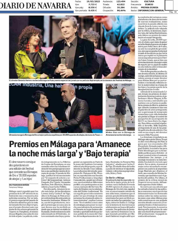 Fotografía del pantallazo de la noticia en la edición impresa del Diario de Navarra