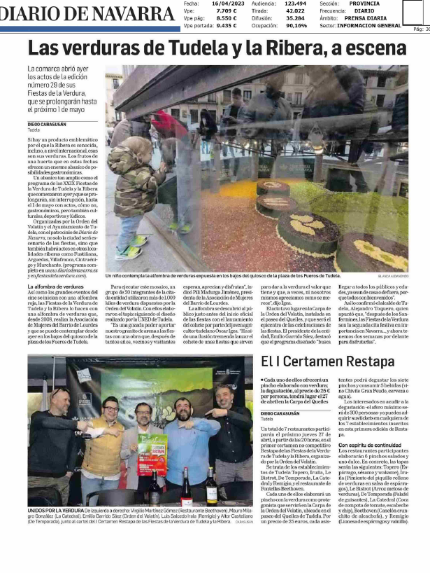 Fotografía del pantallazo de la noticia en la edición impresa del Diario de Navarra