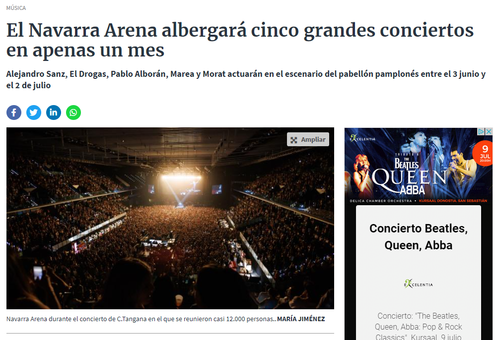 Fotografía del pantallazo de la noticia en la edición online del Diario de Navarra