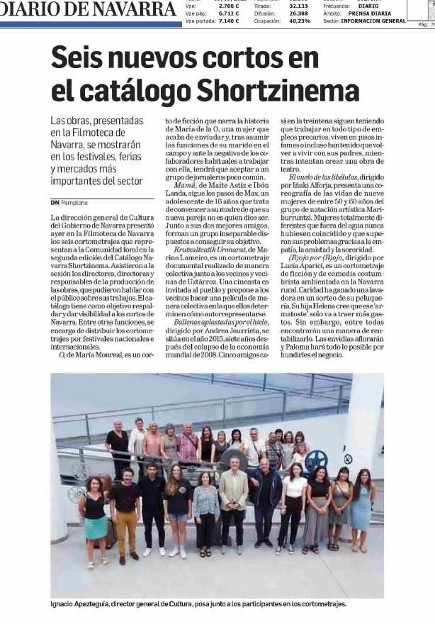 Fotografía del pantallazo de la noticia en la edición impresa del Diario de Navarra