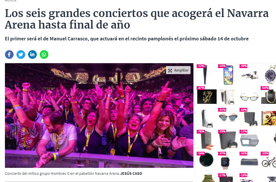 Fotografía del pantallazo de la noticia online del Diario de Navarra