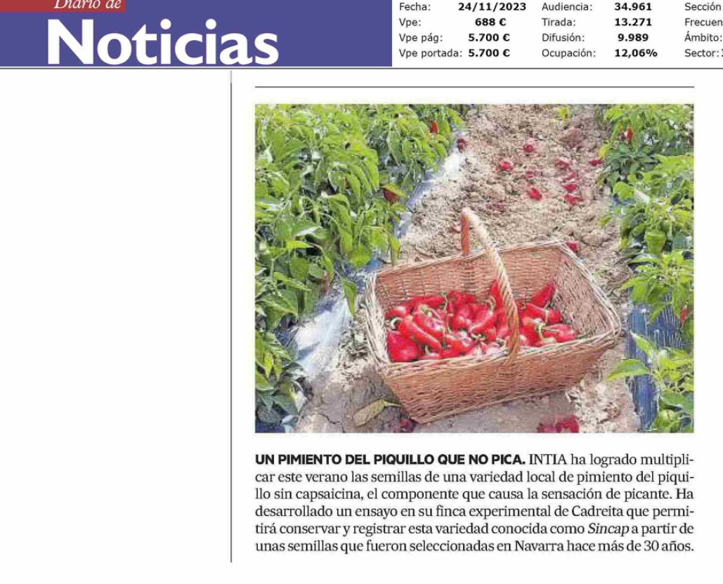 Fotografía del pantallazo de la noticia en la edición impresa de Diario de Noticias