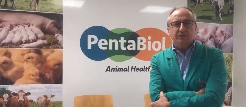 Pentabiol, participante en la segunda edición de Impulso Emprendedor, ha resultado ganadora del programa de innovación abierta “Ances Open Innovation”, promovido por la Asociación Nacional de CEEIs Españoles (ANCES), de la que forma parte CEIN.