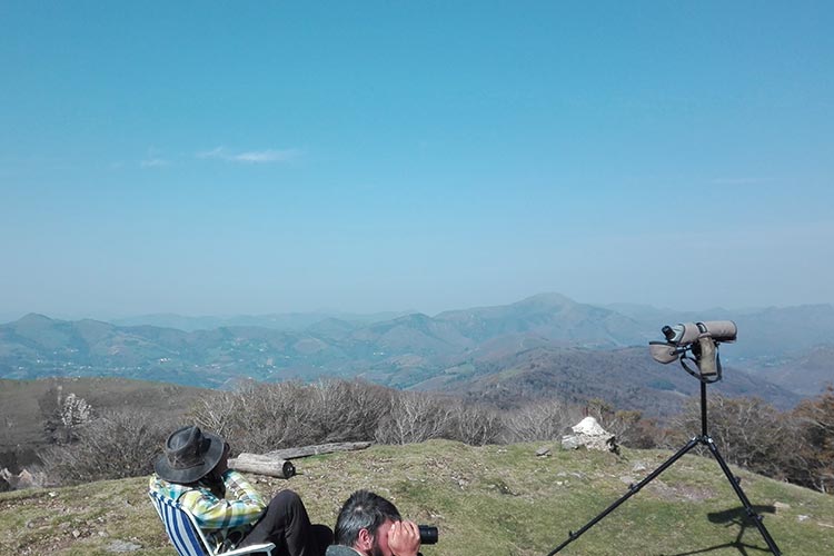 GAN_LINDUS2_observación_aves