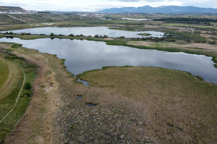Fotografía panorámica de los humedales