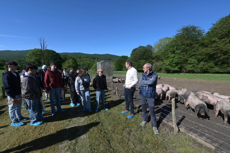 Un grupo de gente delante de un cercado de cerdos