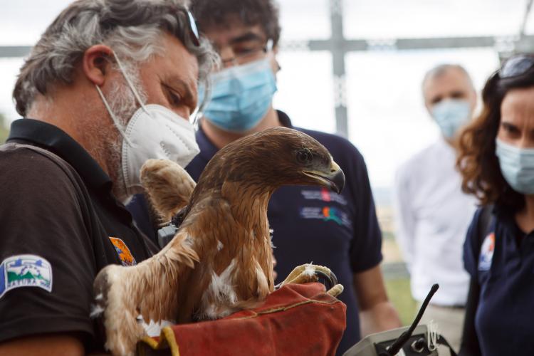 Imagen de la recepción de las aves.