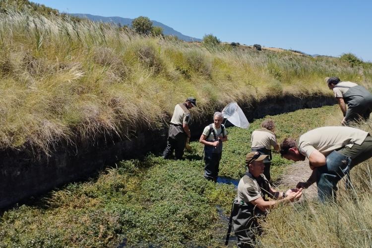 Personas metidas en una acequia 
